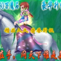 1:30万独家版本,唯我雄霸,值得信赖的游戏私服-兰花魔域